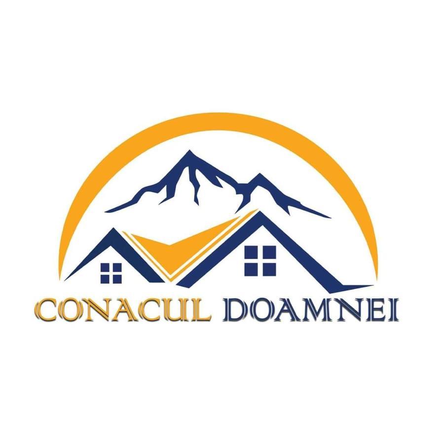 Conacul Doamnei Corbi 外观 照片